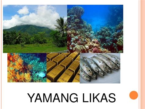 Concept map ng likas yamang tubig
